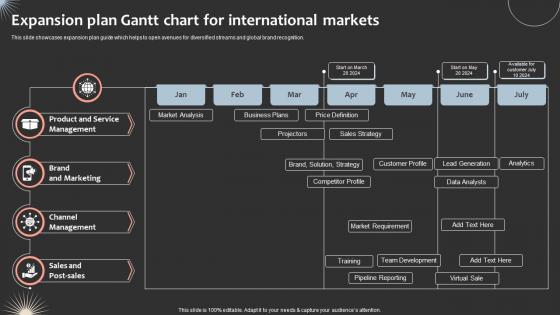 Expansion Plan Gantt Chart For International Markets