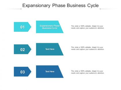 Expansionary phase business cycle ppt powerpoint presentation infographics picture cpb