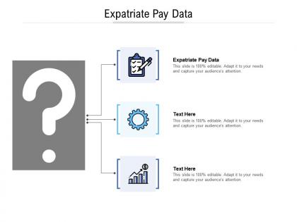 Expatriate pay data ppt powerpoint presentation slides infographics cpb
