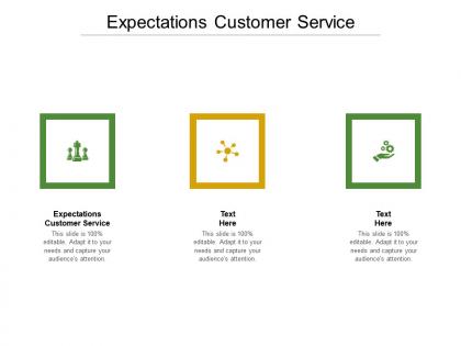 Expectations customer service ppt powerpoint presentation summary slide portrait cpb