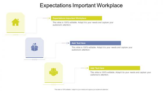 Expectations Important Workplace In Powerpoint And Google Slides Cpb