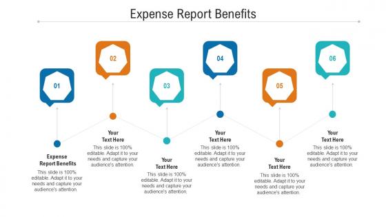 Expense report benefits ppt powerpoint presentation pictures background image cpb