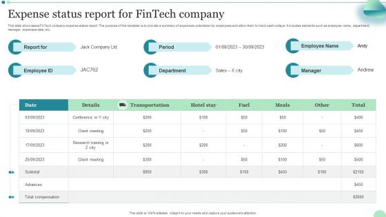 Expense Status Report For Fintech Company