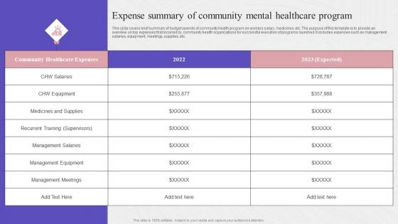 Expense Summary Of Community Mental Healthcare Complete Guide To Community Strategy SS