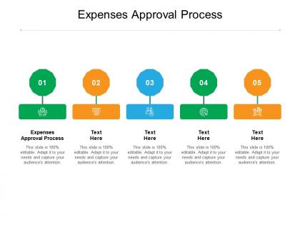Expenses approval process ppt powerpoint presentation portfolio graphics example cpb