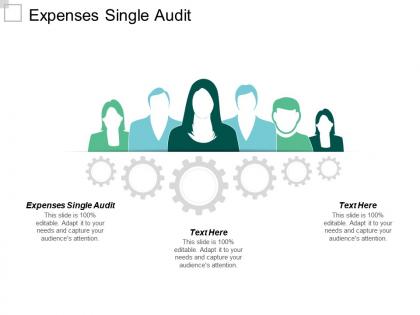 Expenses single audit ppt powerpoint presentation gallery summary cpb