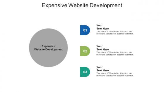 Expensive website development ppt powerpoint presentation model summary cpb