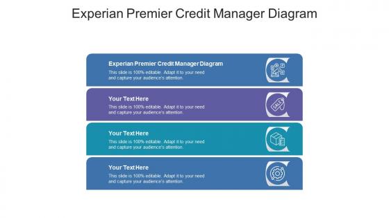 Experian premier credit manager diagram ppt powerpoint presentation portfolio samples cpb