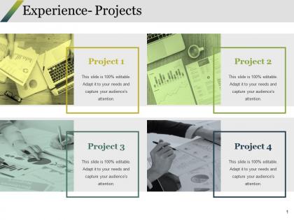 Experience- projects ppt styles graphics example