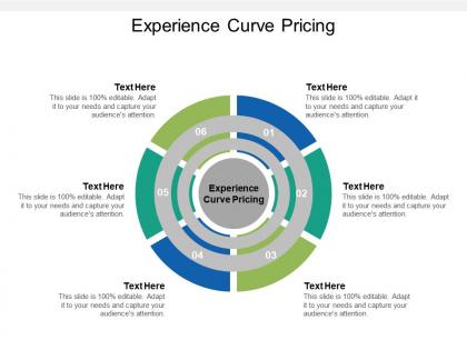 Experience curve pricing ppt powerpoint presentation file visual aids cpb