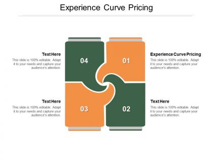 Experience curve pricing ppt powerpoint presentation portfolio inspiration cpb