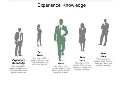 Experience knowledge ppt powerpoint presentation gallery graphics cpb