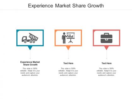 Experience market share growth ppt powerpoint presentation model design ideas cpb
