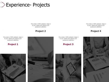 Experience projects agenda ppt powerpoint presentation infographics rules