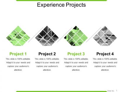 Experience projects powerpoint show