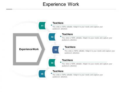 Experience work ppt powerpoint presentation gallery slides cpb