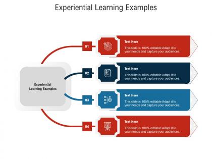Experiential learning examples ppt powerpoint presentation show format ideas cpb