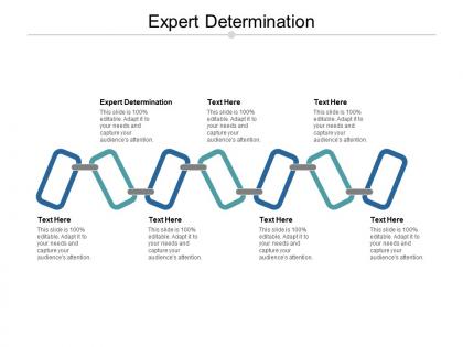 Expert determination ppt powerpoint presentation gallery slides cpb