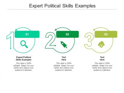 Expert political skills examples ppt powerpoint presentation icon picture cpb