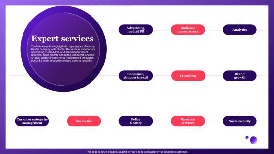 Expert Services Data Insights Company Profile CP SS V