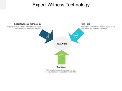 Expert witness technology ppt powerpoint presentation show design inspiration cpb