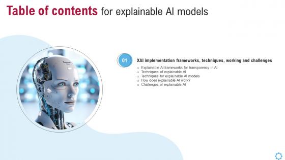 Explainable AI Models Table Of Contents Ppt Infographics
