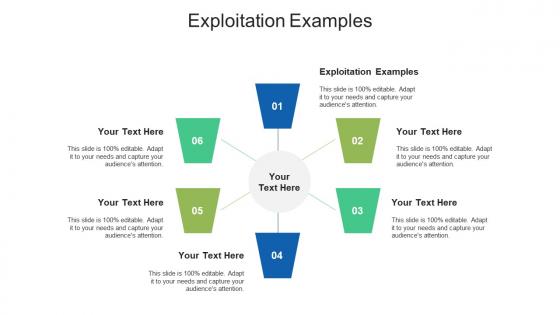 Exploitation examples ppt powerpoint presentation infographic template brochure cpb
