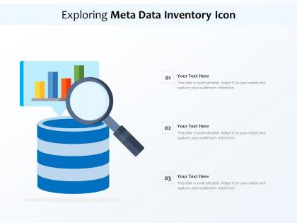 Exploring meta data inventory icon