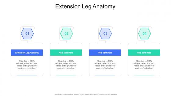 Extension Leg Anatomy In Powerpoint And Google Slides Cpb