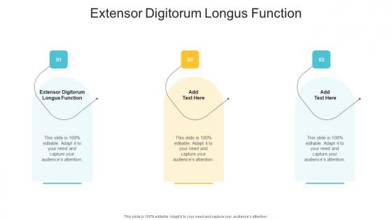Extensor Digitorum Longus Function In Powerpoint And Google Slides Cpb
