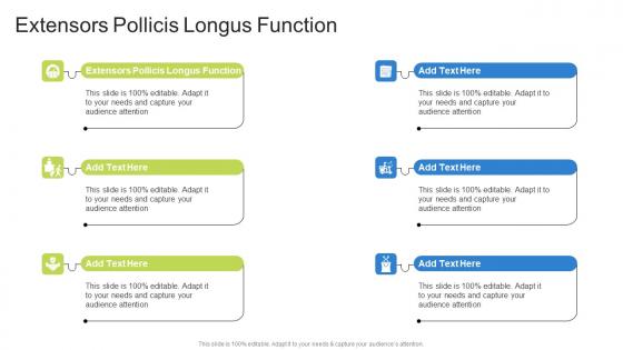 Extensors Pollicis Longus Function In Powerpoint And Google Slides Cpb
