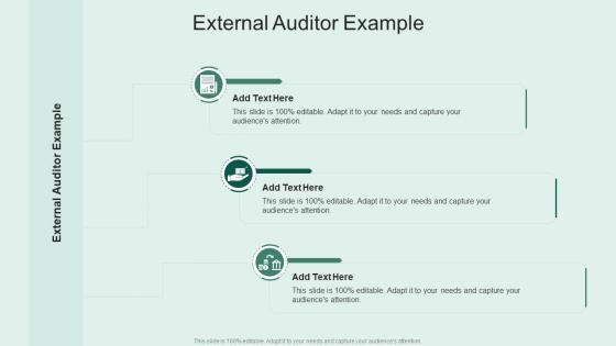 External Auditor Example In Powerpoint And Google Slides Cpb