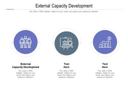 External capacity development ppt powerpoint presentation pictures samples cpb
