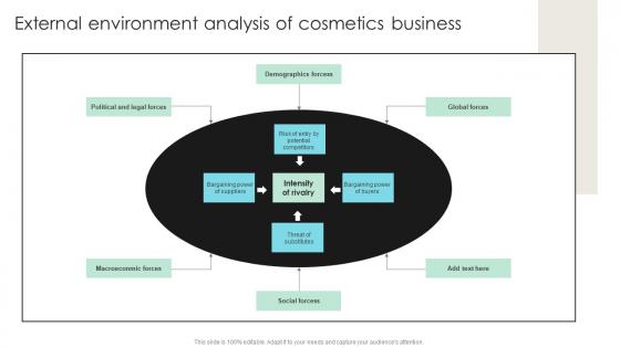 External Environment Analysis Of Cosmetics Detailed Strategic Analysis For Better Organizational Strategy SS V