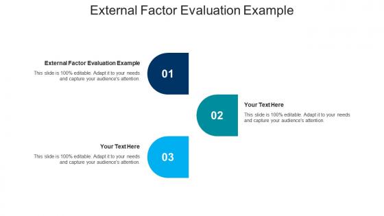 External factor evaluation example ppt powerpoint presentation slides backgrounds cpb