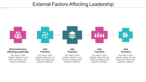 External Factors Affecting Leadership Ppt Powerpoint Presentation Styles Designs Cpb