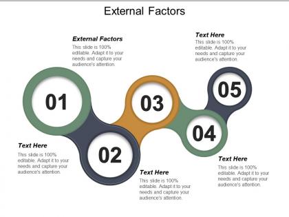External factors ppt powerpoint presentation gallery background image cpb