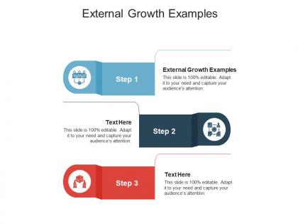 External growth examples ppt powerpoint presentation styles design ideas cpb