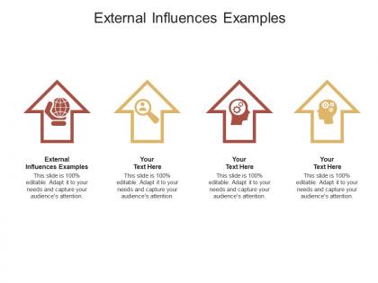 External influences examples ppt powerpoint presentation infographics master slide cpb