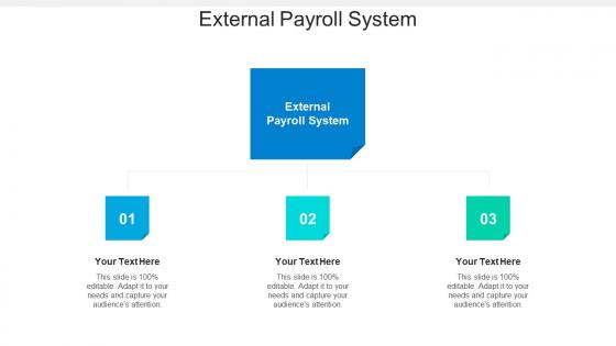 External payroll system ppt powerpoint presentation styles slideshow cpb
