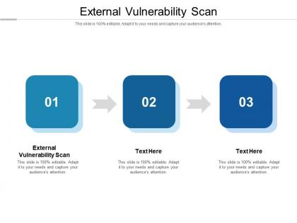 External vulnerability scan ppt powerpoint presentation infographic template graphics tutorials cpb