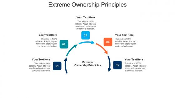 Extreme ownership principles ppt powerpoint presentation portfolio backgrounds cpb