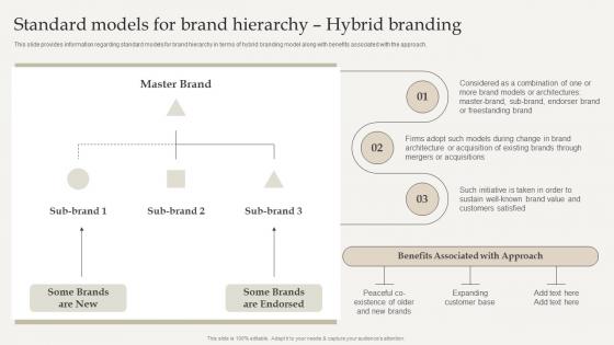 F1051 Standard Models For Brand Hierarchy Hybrid Branding Optimize Brand Growth Through Umbrella Branding