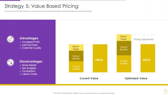 F46 Pricing And Revenue Optimization Strategy 5 Value Based Pricing