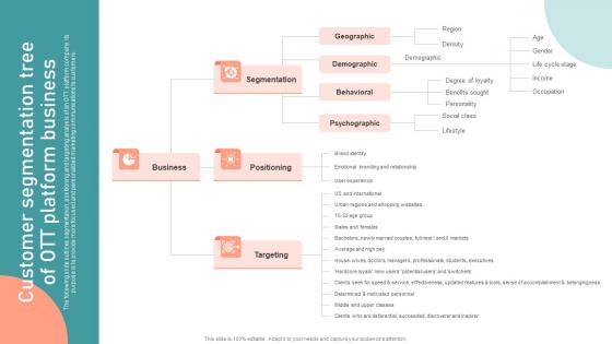 F641 Customer Segmentation Tree Of Ott Platform Customer Segmentation Targeting And Positioning Guide