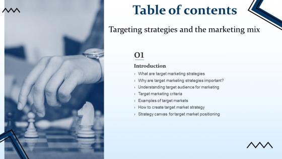F901 Targeting Strategies And The Marketing Mix Table Of Contents Ppt Professional Graphics Pictures