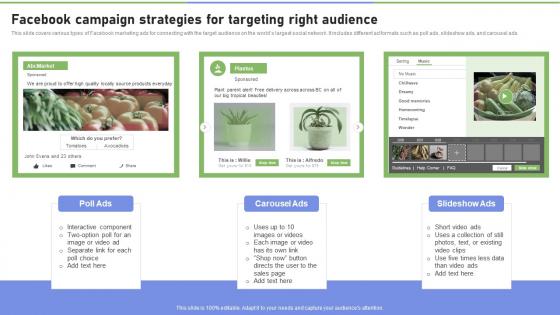 Facebook Campaign Strategies For Targeting Right Audience Strategies To Ramp Strategy SS V