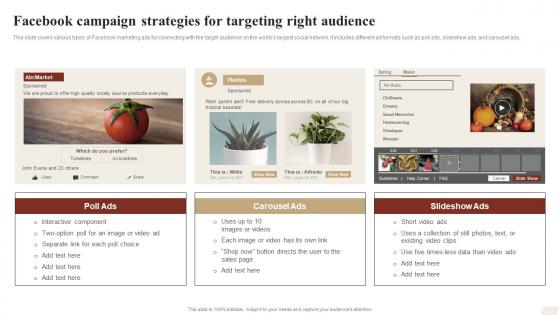 Facebook Campaign Strategies For Targeting Right Audience Ways To Optimize Strategy SS V