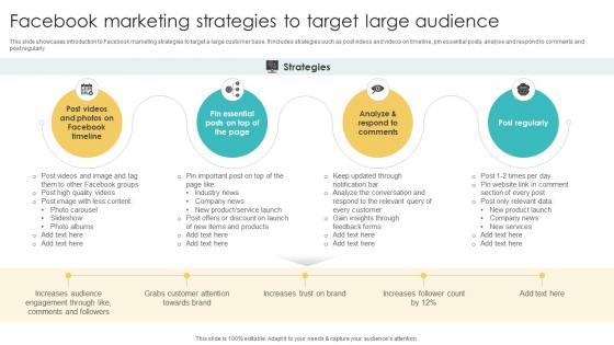 Facebook Marketing Strategies To Target Large Using Various Marketing Methods Strategy SS V