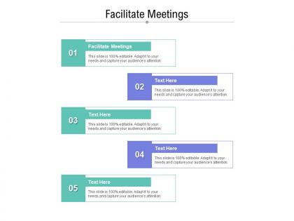 Facilitate meetings ppt powerpoint presentation professional graphics cpb